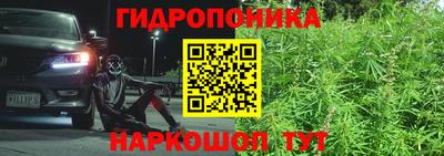 прущие грибы Малгобек