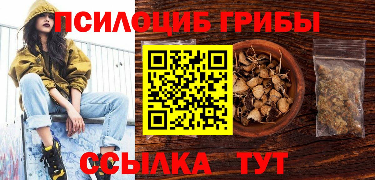 Великие Луки  Галлюциногенные грибы Psilocybe  Вход с VPN 